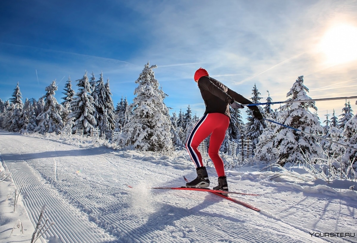 ❄❄❄Температурный режим занятий по лыжной подготовке. ❄❄❄.