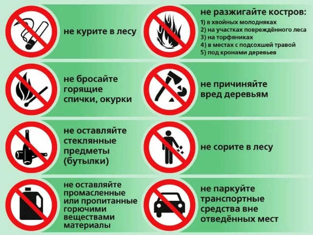 Безопасность в лесу.